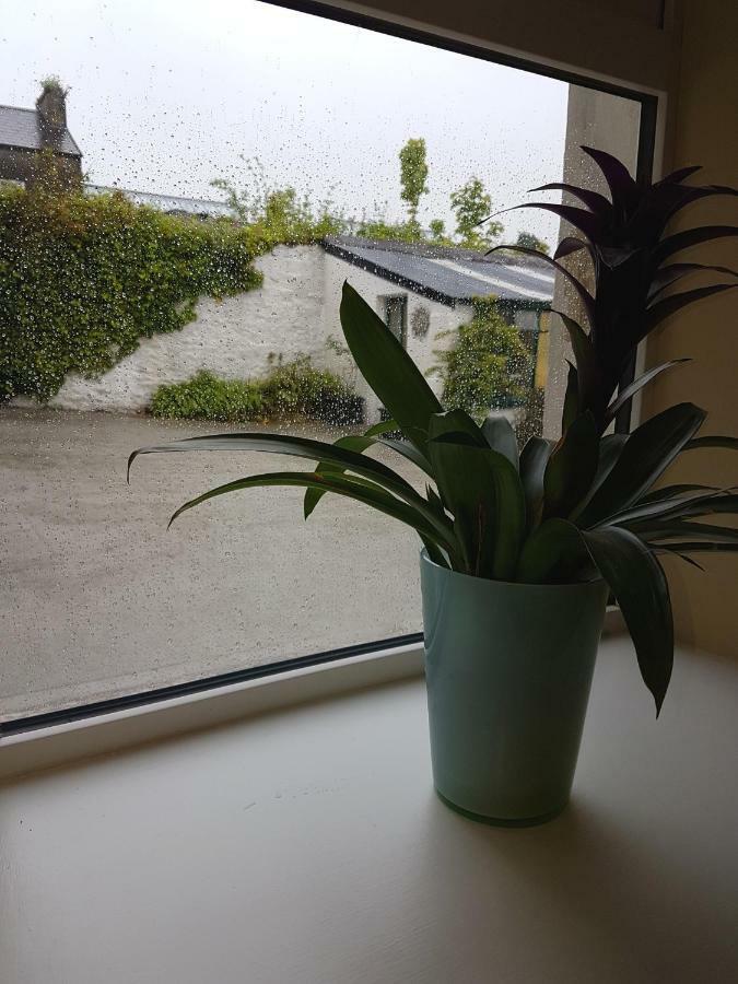 Glenbower House Daire Cork Dış mekan fotoğraf