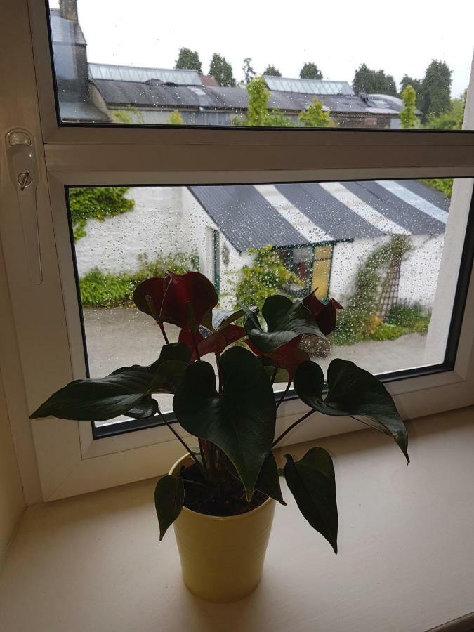 Glenbower House Daire Cork Dış mekan fotoğraf